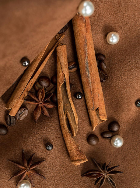 Kaneel, steranijs en koffiebonen op bruine achtergrond bij Indian Naan Restaurant 
